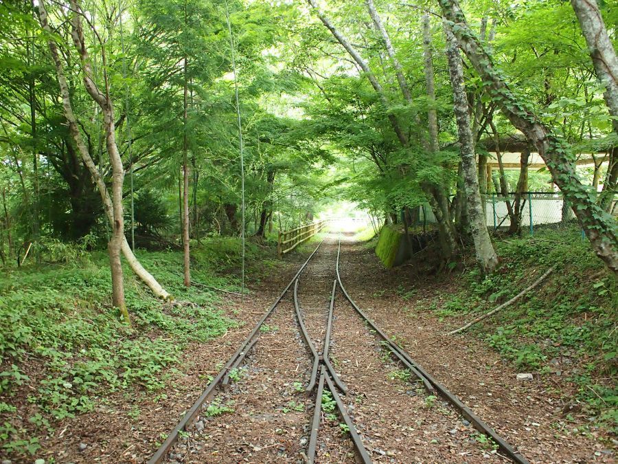 大井川鐵道井川線 アプト式 に乗車してきました 川根本町地域おこし協力隊ブログ