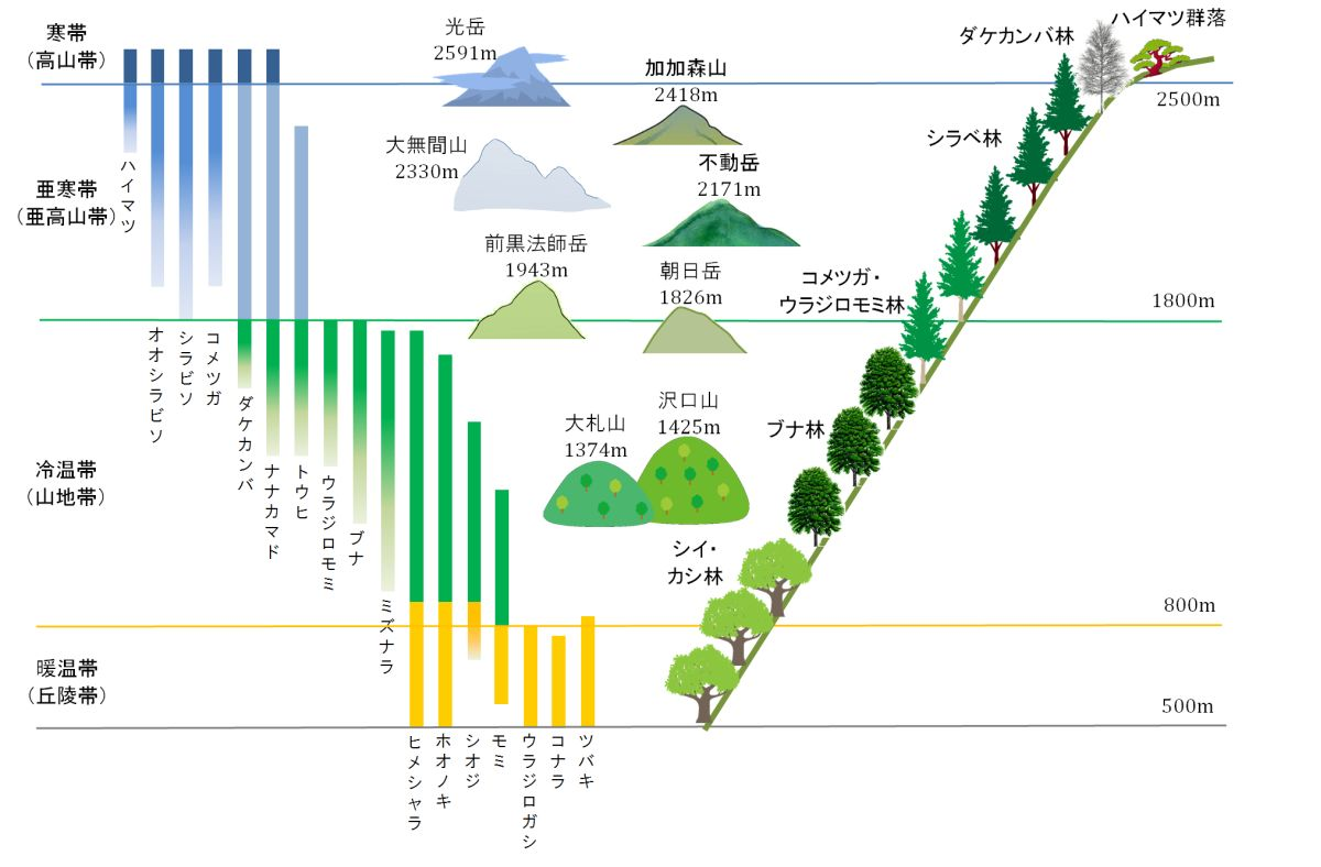 智者山と大札山への登山 川根本町地域おこし協力隊ブログ